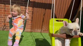 Toddler and Puppy enjoy playing on the swings