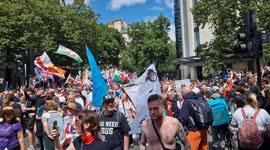 Scores of Tommy Robinson supporters march on London