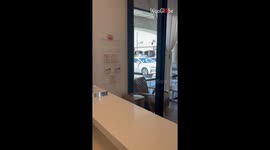 Coffee shop owners surprise regulars with pregnancy news, and their reactions are PRICELESS!