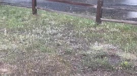 Storm hits Evergreen, Colorado with rain and pea-sized hail