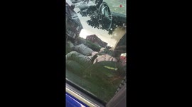 Genius toddler slides out of car seat like it's a walk in the park