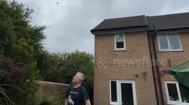 Town invaded by up to 3,000 seagulls – despite being 30 miles from sea