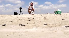 Sea turtles released from S. Lebanon into Mediterranean Sea amid ongoing conflicts