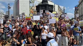 Protesters gather in Piccadilly Circus against Turkey’s plan to kill stray dogs and cats