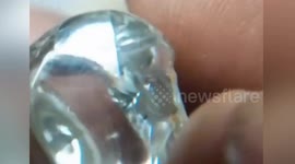 Struggling Indian labourer in debt digs up 19-carat diamond worth $100k