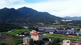 Armenian expat enjoys poetic rural life in south China's Guangdong