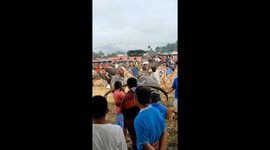 Long horns are an expensive decoration for buffalo in Indonesia