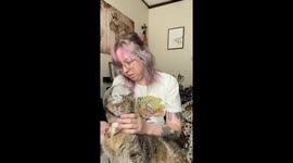 Helmet Helps With Clipping a Spicy Kitty’s Nails