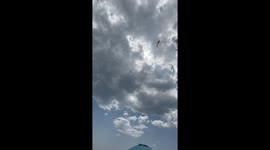 Huge Swarm of Dragonflies Invade Beach