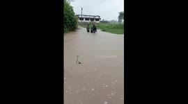 Teacher carries children to safety through flooded stream