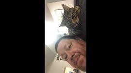 I wanted a kiss and he tried biting me