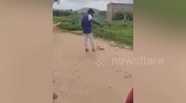 Indian man teasing cobra gets bitten and needs rushing to hospital