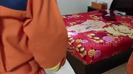 China: Snake Found in Cabinet Inside Home in China Startles Firefighters