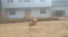 Firefighters use rope traverse and pulley system to rescue 11 trapped in floods from typhoon Gaemi