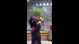 Entertainers put on an OTT yak show for tourists in China