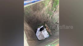 Kind passerby rescues abandoned puppy dumped in rubbish bin