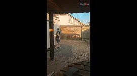 Backyard shenanigans: Boy's sneaky jump scare prank makes friends crack up