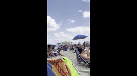 Massive swarm of dragonflies descends on Misquamicut State Beach, Rhode Island