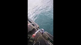Man falls into water while attempting to catch fish