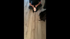 Dog reacts fearfully to mask in Mariner's Harbor, New York