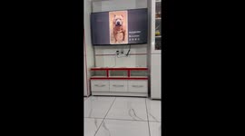 Dog barks at TV dog in Ambala, Haryana, India