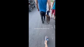 How we saved a dog with a broken jaw abandoned in the middle of nowhere