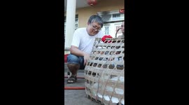 Rare oriental white stork released back into wild after rescue
