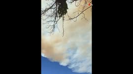 VIDEO: Terrifying pyro clouds and glimpse of destruction caused by Borel Fire