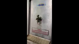 Huge worm crawls out of ancient-looking office water cooler