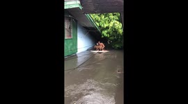 Pet owner floats to safety with his dog during typhoon