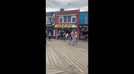 Seagull Steals Woman's Pizza