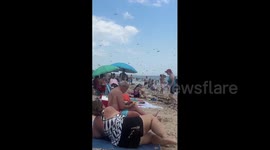Dragonflies swarm Misquamicut Beach in Rhode Island