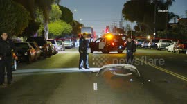 USA: Florence Fatal Auto vs Pedestrian