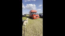 When your dog sees the ice cream van on a hot day.