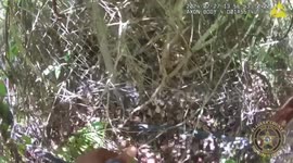 USA: Escaped Florida Felon Screams as K-9 Drags Him Out of Woods in Dramatic Capture