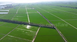 China: Green Fields in Huai'an
