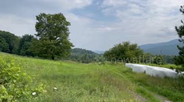 Bennington County's Mild Weather