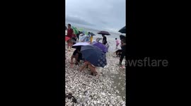 Typhoon delivers seafood buffet to Chinese beach but experts warn of safety risks