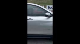 Good Samaritan and state trooper help ducks cross I-91 in Hartford amid rush hour