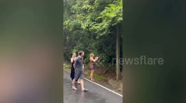 Monkey runs away with tourist's handbag before police order him to return the stolen goods