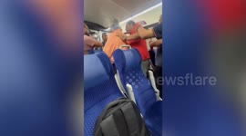 Vegetarian train passenger slaps waiter for being served meat