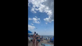 Massive swarm of dragonflies descends on Misquamicut State Beach, Rhode Island