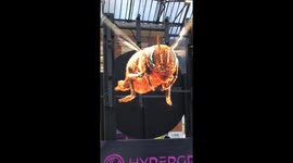 Animals and other objects brought to life through awesome holograms in London