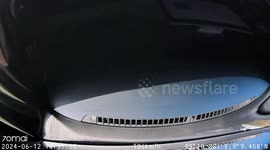 China-made BYD electric car's bonnet suddenly flips open while driving in Thailand