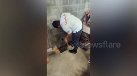 Kitten stuck inside concrete wall rescued