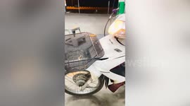 It'sssss mine now! Snake takes over motorcycle while rider stops to refuel