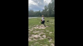 Failed fence jump attempt in Dade City