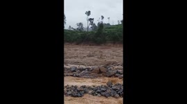 Resident stuck in mud from India landslides survives by clinging to rocks for five hours