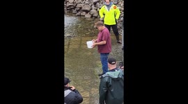 Exciting escapade: Community health representative witnesses salmon burst back to the river