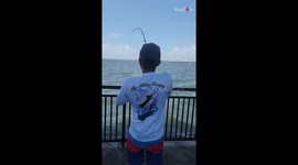 MASSIVE tarpon shows amazing fighting spirit after being caught by determined angler